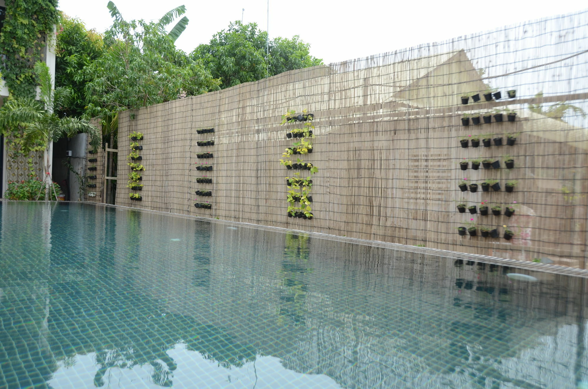 Filia D'Angkor Boutique Villa سيام ريب المظهر الخارجي الصورة